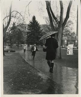 Dr. Donald Nitz Running across the mall