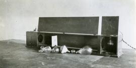 Lightbulbs and physics equipment on a table