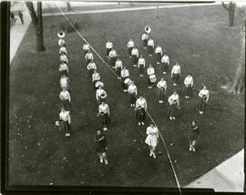 aireal view of falconettes