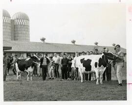 Animal Science, 1968.