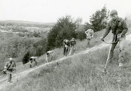 Students preparing to Lime the R, no date.