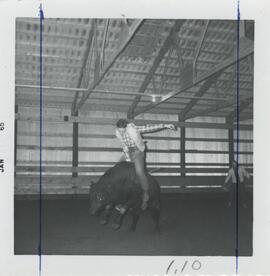 image 14