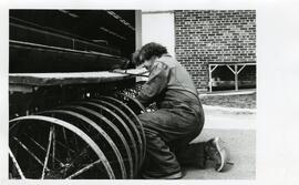 Agriculture/Engineering, 1950-1990.