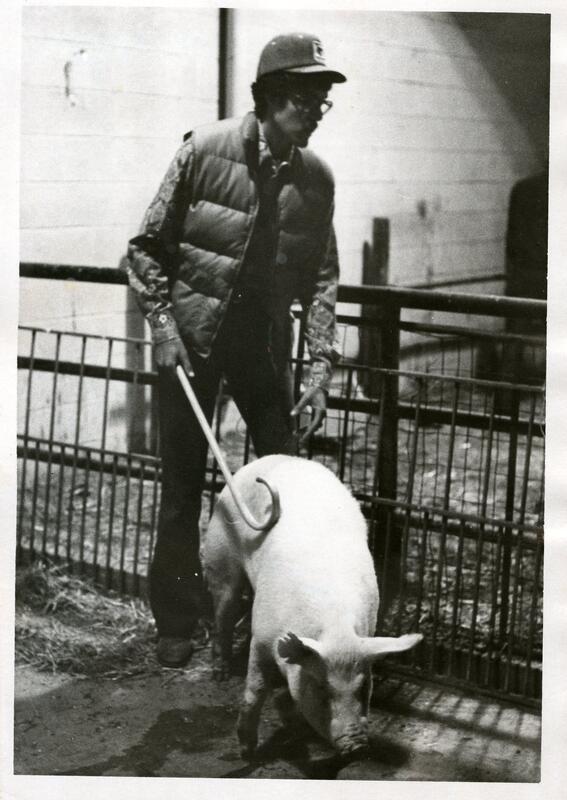 Original Digital object not accessible