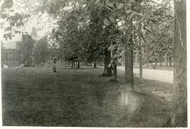 Tree lined road with a view of the Normal School, circa 1920's