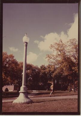 lamppost and scenery