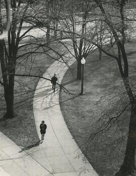 curved sidewalk on campus