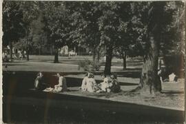 Students sitting outside on the grass.