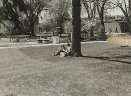 Students sitting against a tree.