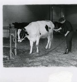 Animal Science, 1950's-1990's.
