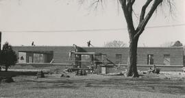 Construction of the agronomy building, 1954.