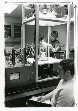 Student working on equipment and plants