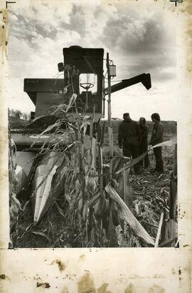 Agriculture Lab Farms, 1920's.