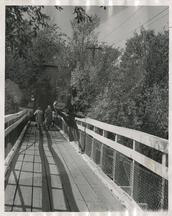 Mary McMillian Miller on the Swinging Bridge, 1961.