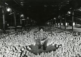 Animal Science, 1950's-1990's.