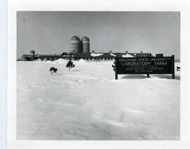 Lab Farms, 1960's-1990's.