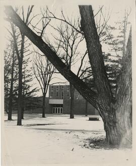 Agricultural science hall behind the trees