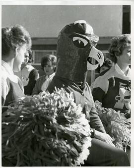 Paper mache falcon head, circa 1930's.