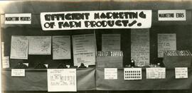 Agriculture Activities.