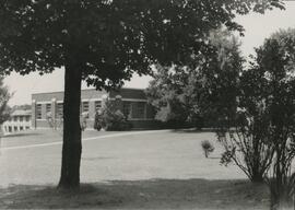 Industrial arts building through trees, 1950