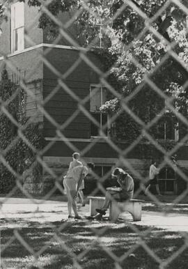 Students studying outside through fence.