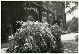 North Hall, circa 1940s.