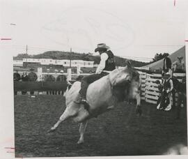 image 01