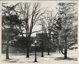 Agricultural science hall behind the trees