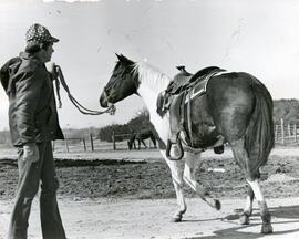 Animal Science, 1950's-1990's.
