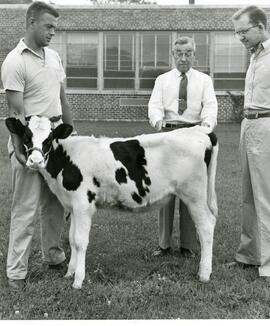 Animal Science, 1950's-1990's.