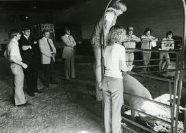 Animal Science, 1950's-1990's.