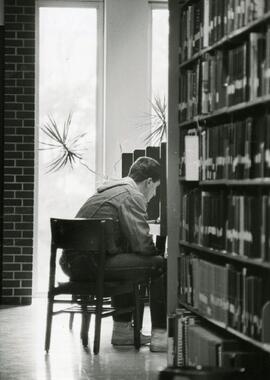 Student studying in the library, 1987.