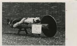 Homecoming Lawn Display, 1967.