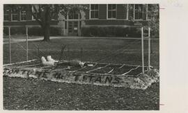 Homecoming Lawn Display, 1967.