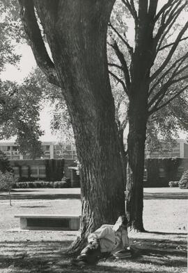 Person reading against a tree.