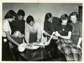Students around a skeleton on table
