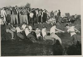 Homecoming Tug of War, 1956.