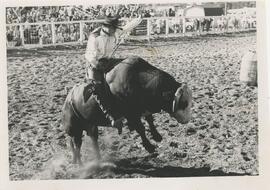 image 09