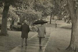 People with umbrellas on sidewalk.