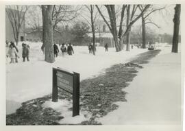 Campus Scenes, 1979.