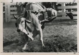 image 06