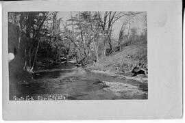 Rocky Branch or South Fork, Kinnickinnic River in River Falls, undated