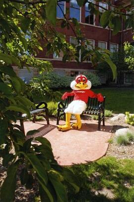 [Freddy Falcon sitting on bench by South Hall]