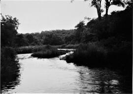 Pierce County: Clifton Township, miscellaneous, Dayton Mill site, 1992