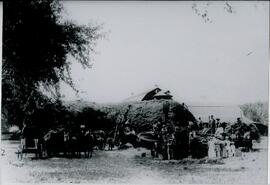 St. Croix County: Hammond Township, agriculture, harvesting, threshing, circa 1915-1916