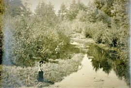 Barron: Views, Corliss Creek, undated