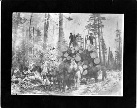 Logging in Northern Wisconsin (location not specified), undated