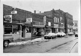 Businesses on East side of Main Street in River Falls, 1976