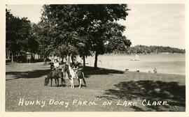 Hunky Dory Farm on Lake Clare