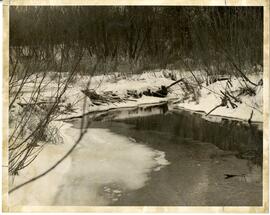 Beaver dam on the kinnickinnic River, undated